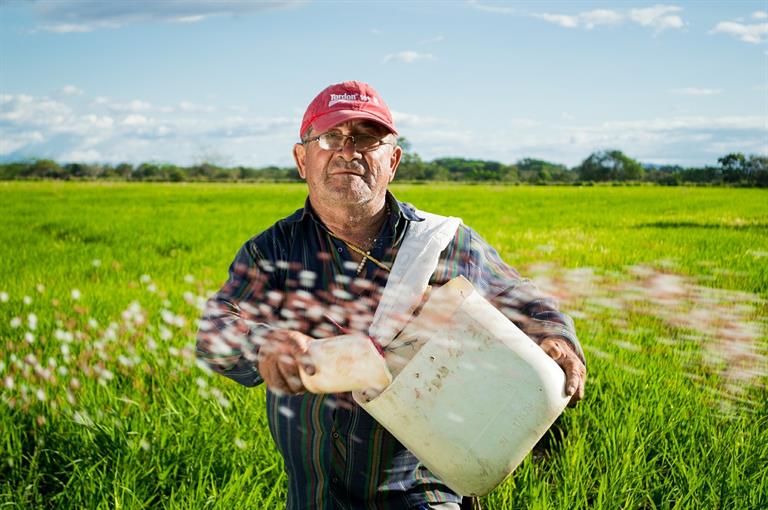 Farmer Farmer