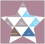 Star icon