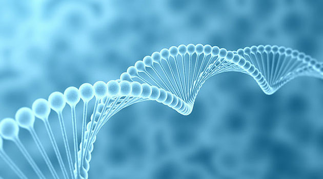 genome