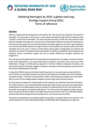 Defeating Meningitis by 2030: a global road map - Strategy Support Group (SSG) Terms of Reference