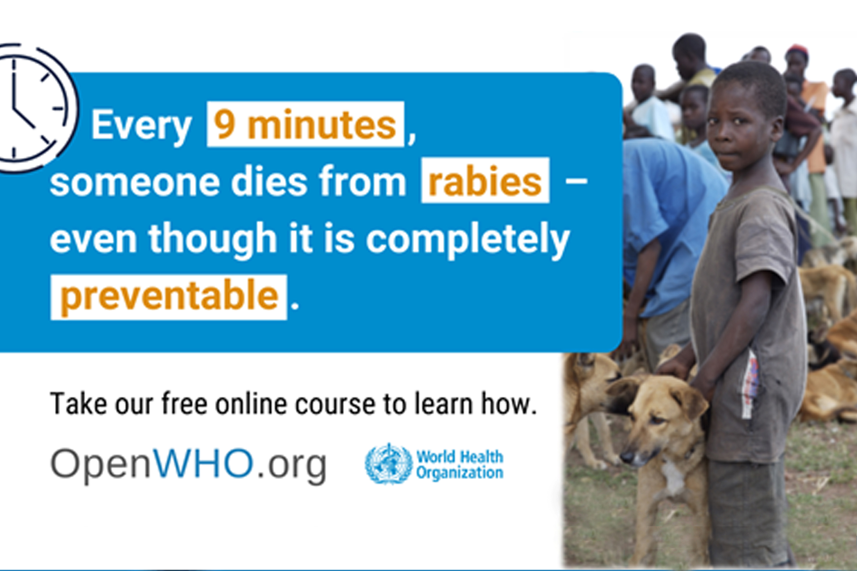 New course on Rabies & One Health launched on OpenWHO