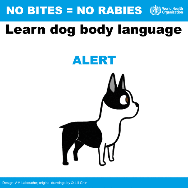 Rabies dog language Rabies dog language