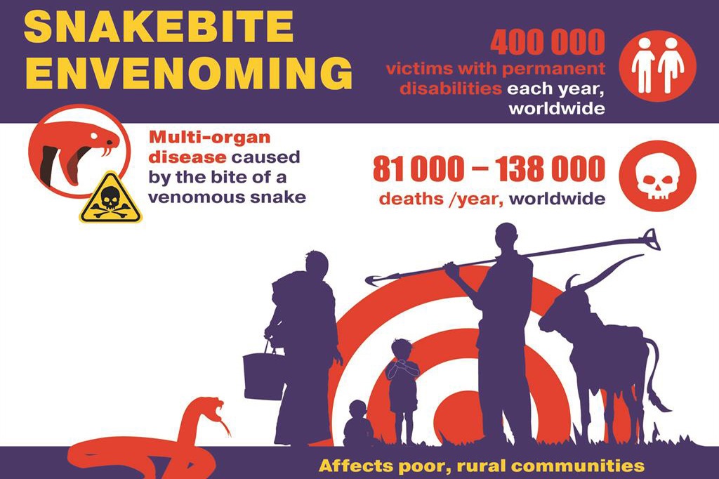 Lymphatic-filariasis-infographic-landscape Lymphatic-filariasis-infographic-landscape