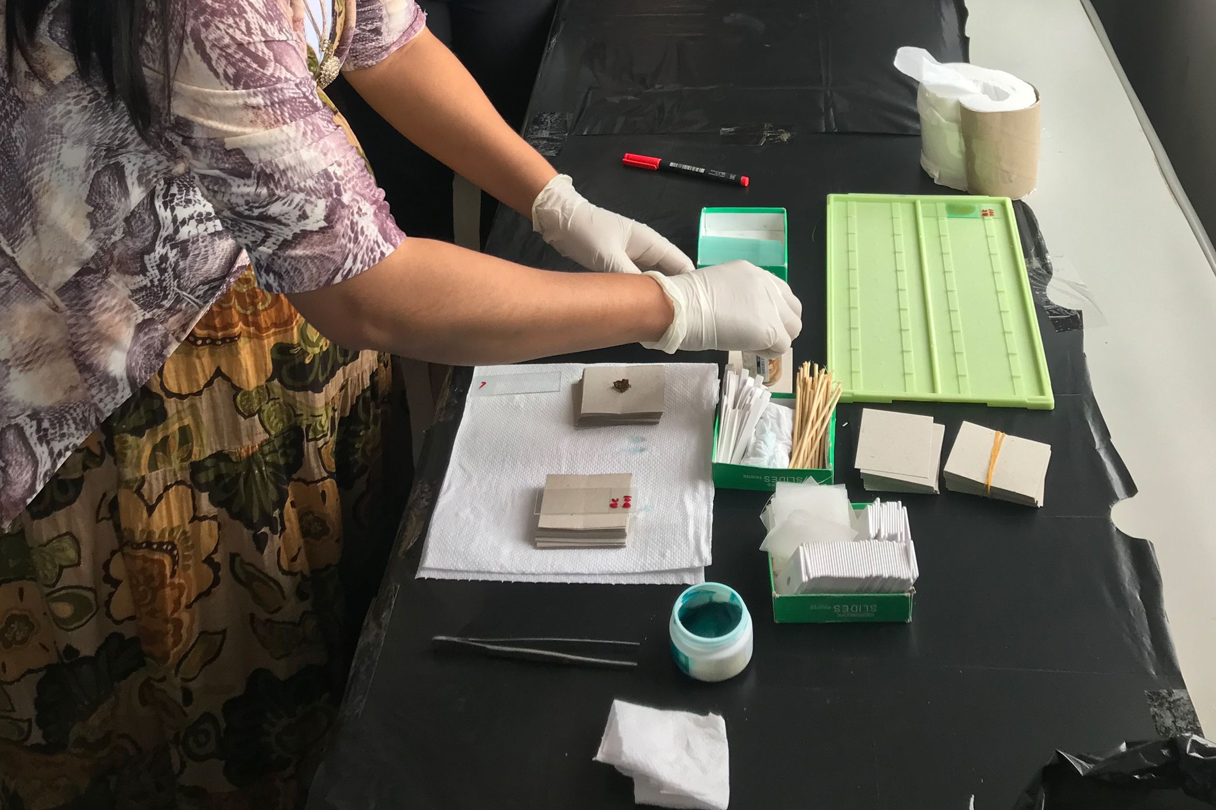 Kato-katz training-Cambodia-2