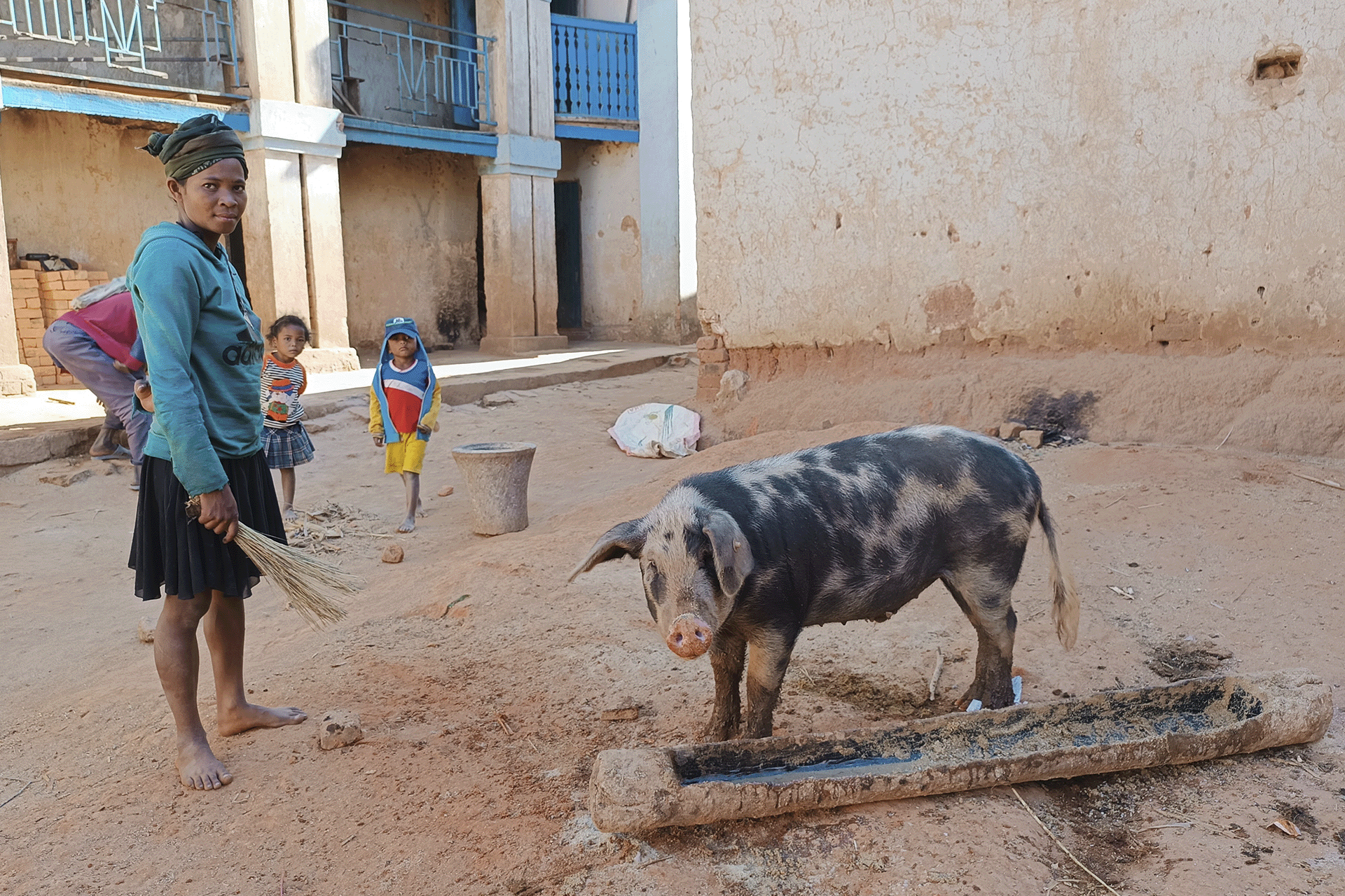 Farmer participating in the pig vaccination campaign in the Ambohimanambola community