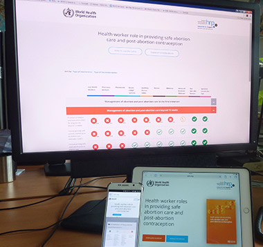 screen shot of the interactive tool