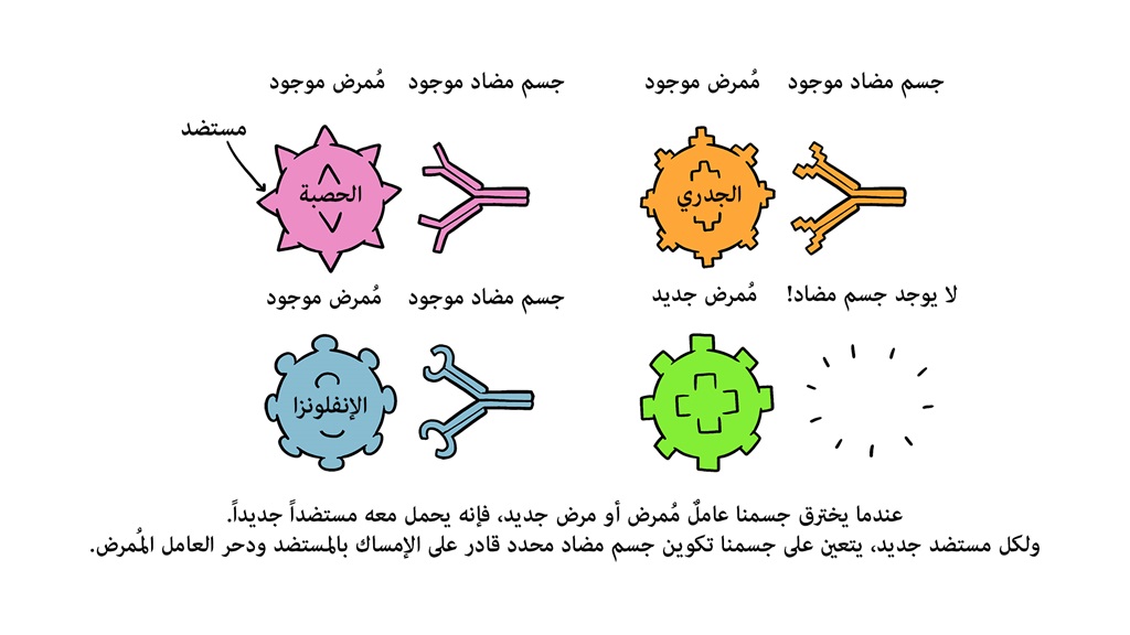 Vaccines Antibody illustration 01_29 Oct Vaccines Antibody illustration 01_29 Oct