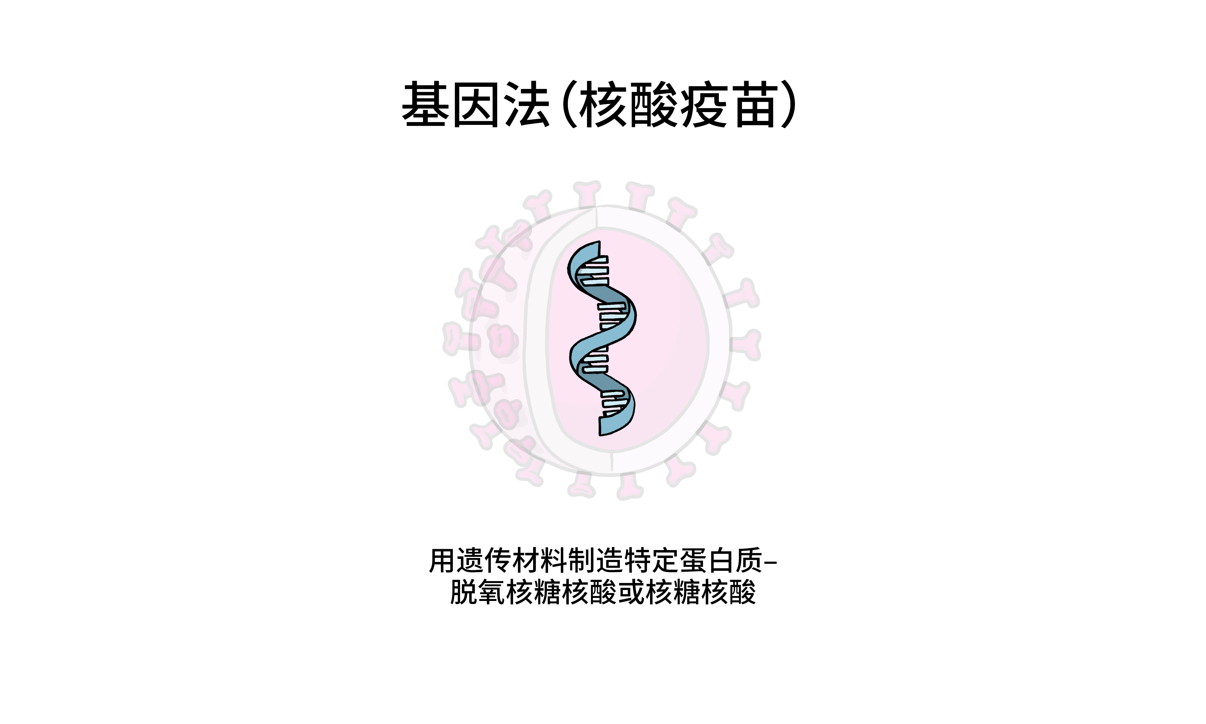 基因法（核酸疫苗）