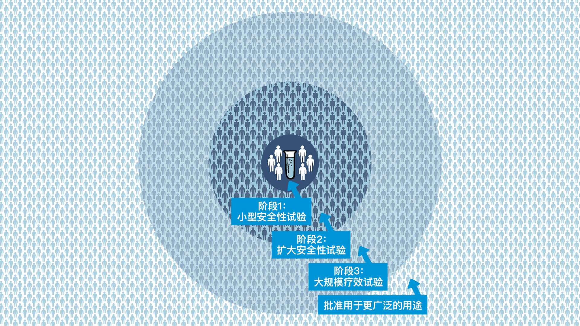 图示疫苗的不同实验阶段